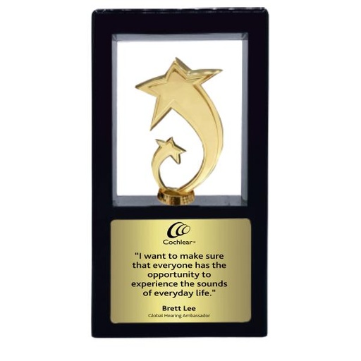 Wood & Metal Trophy WM 9887 AL